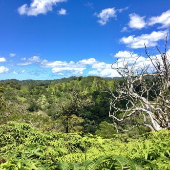 Kalauao Trail - Hiking Near Me - Aiea, Hawaii