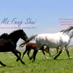 Ms. Feng Shui