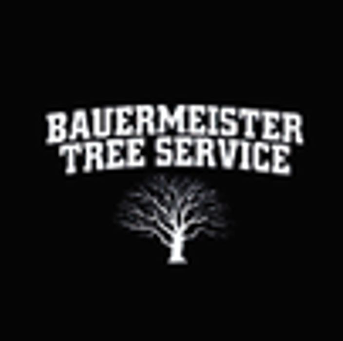 Bauermeister Tree - tree service in Fort Wayne, IN