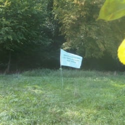 Waldkindergarten - Die Naturforscher