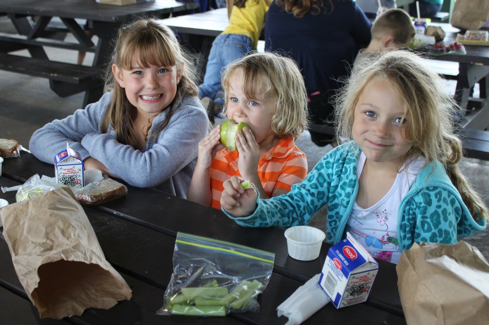 Sunnyside Child Development Center - childcare center in Troy, NY