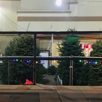 Shawn's Christmas Trees - Christmas Trees Near Me - Culver City, California Shawn's Christmas Trees - Christmas Trees Near Me - Culver City, California