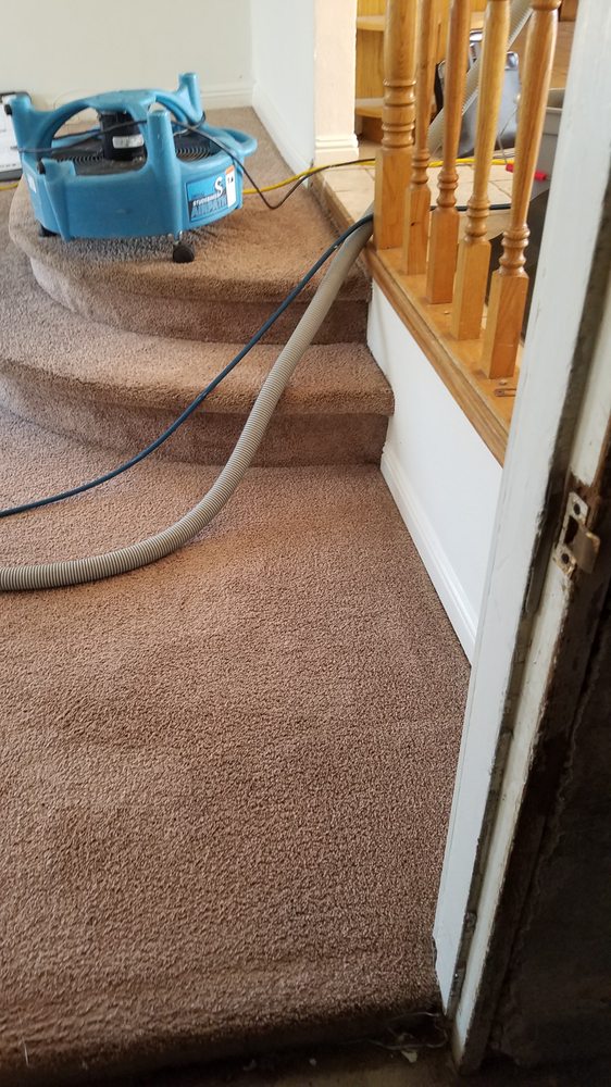 WATKINS CARPET CLEANING Updated September 2024 41 Photos & 50