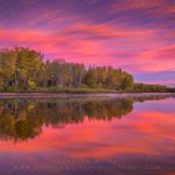 Darren White Photography - Sunrise at Chatfield Lake State Park as the trees begin to show their Autumn colors Fine Art Prints Available
