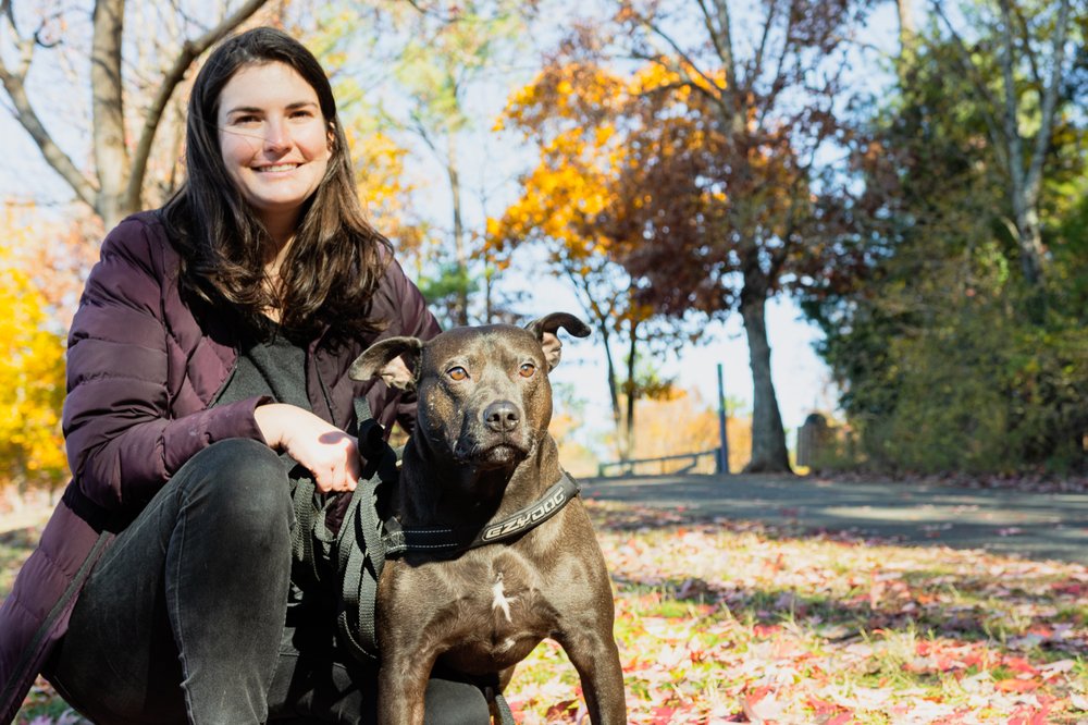 Wagging Tail Services - pet boarding facility in Knightdale, NC