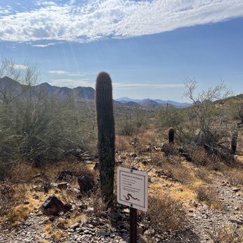 Ringtail Trailhead - Hiking Near Me - Scottsdale, Arizona
