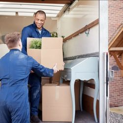 Cole Moving and Transportation Services