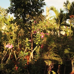 Vivero Carrera