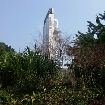 九龍公園 - Near duck pond - Parks Near Me - Hong Kong, HK