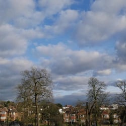 Capital Ring - Section 4: Crystal Palace to Streatham - I *think* this was Norwood grove