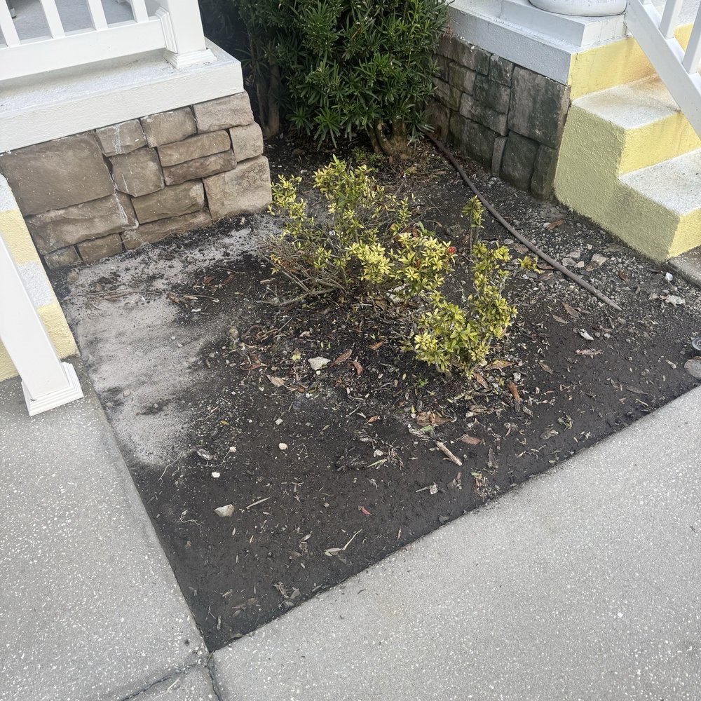 Collis Roofing - Ruined our bushes. Still looks the same a year later - Roofing Near Me - Longwood, Florida Collis Roofing - Ruined our bushes. Still looks the same a year later - Roofing Near Me - Longwood, Florida