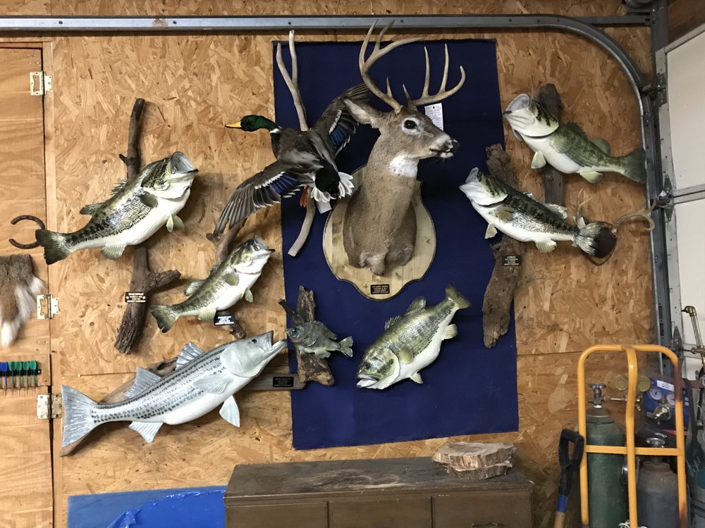 Johnsons Taxidermy - taxidermy in Norman, OK