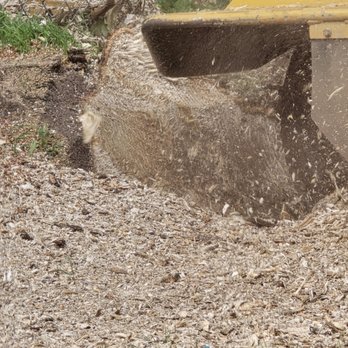 Ernesto's Tree Service - removing the stump - Tree Services Near Me - West Haven, Utah Ernesto's Tree Service - removing the stump - Tree Services Near Me - West Haven, Utah