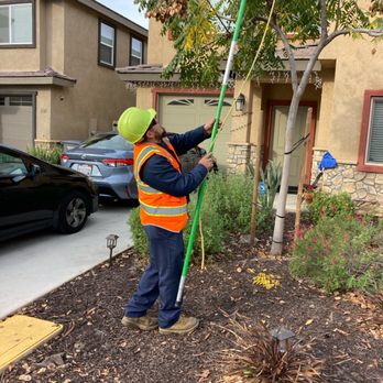 True Lawn Care - Tree pruning - Landscaping Near Me - Lakeside, California True Lawn Care - Tree pruning - Landscaping Near Me - Lakeside, California