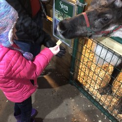 Snowman's Reindeer Farm