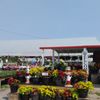 Sunscape Farms Greece gift card