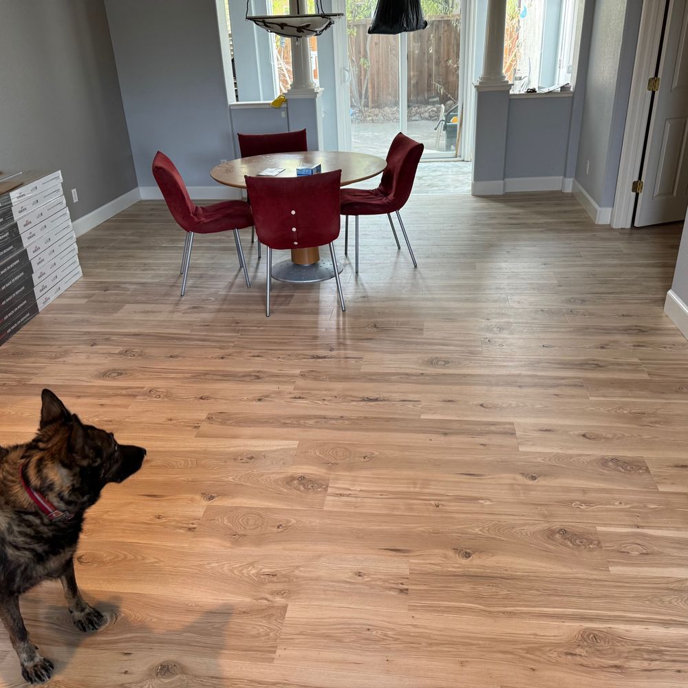 Sapien Flooring - Flooring Near Me Sapien Flooring - Flooring Near Me