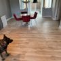 Photo of Sapien Flooring