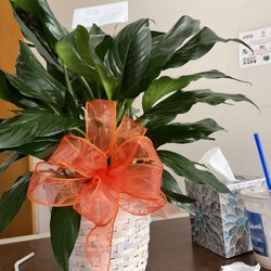 ORIA's FLOWERS - Worth $100? Don't think so.
