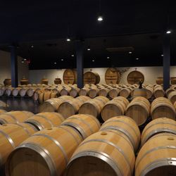 Château Dauzac - Barrel Room.
