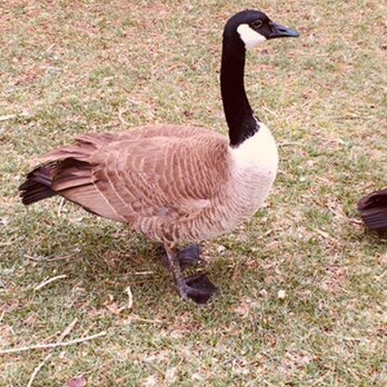 City Park - Parks Near Me - Denver, Colorado City Park - Parks Near Me - Denver, Colorado