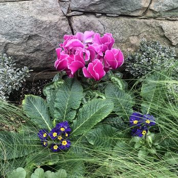 Brookside Gardens  - Botanical Gardens Near Me - Wheaton, Maryland