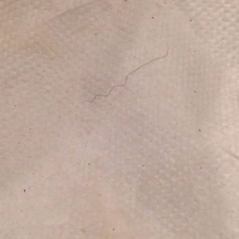 Pho 99 Aurora - Hair found in my combo vermicelli - Vietnamese Near Me - Aurora, Colorado