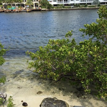 Deerfield Island Park - Parks Near Me - Deerfield Beach, Florida Deerfield Island Park - Parks Near Me - Deerfield Beach, Florida