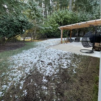 Top Dog Turf - Before - Artificial Turf Near Me - Lakewood, Washington Top Dog Turf - Before - Artificial Turf Near Me - Lakewood, Washington