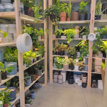 PlantHouse - Nurseries & Gardening Near Me - Richmond, Virginia