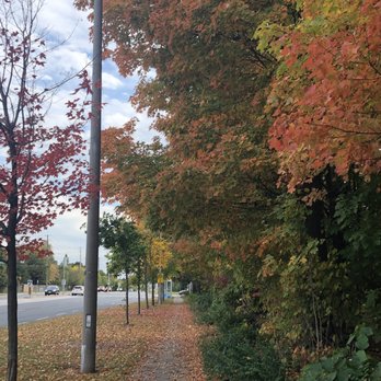 Manhattan Woods - On the Way - Parks Near Me - Markham, Ontario Manhattan Woods - On the Way - Parks Near Me - Markham, Ontario