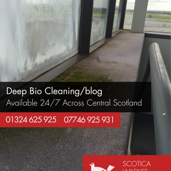 Scotica Wildlife Solutions - Pest Control Near Me - Falkirk, FAL Scotica Wildlife Solutions - Pest Control Near Me - Falkirk, FAL
