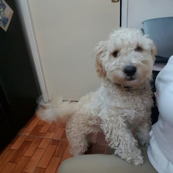 Carol's Pet Center - Pet Stores Near Me - South Gate, California Carol's Pet Center - Pet Stores Near Me - South Gate, California