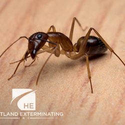 Heartland Exterminating
