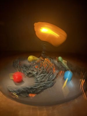 The Fowler Museum at UCLA by null