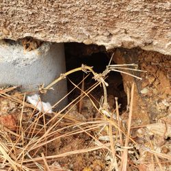ASAP Foundation & House Leveling - pillars showing EveryWare not fill