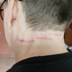 Clipper cuts