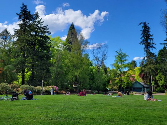 Laurelhurst Park by null