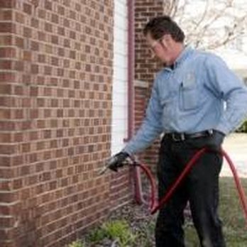 Downriver Pest Control - Pest Control Near Me - Brownstown, Michigan Downriver Pest Control - Pest Control Near Me - Brownstown, Michigan