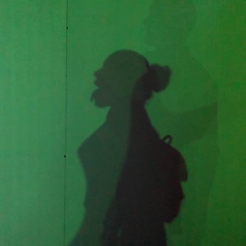 Ripley's Believe It or Not! - they had this area where you could snapshot your shadow and it would freeze. pretty cool how they could layer one over the other haha - Museums Near Me - San Francisco, California