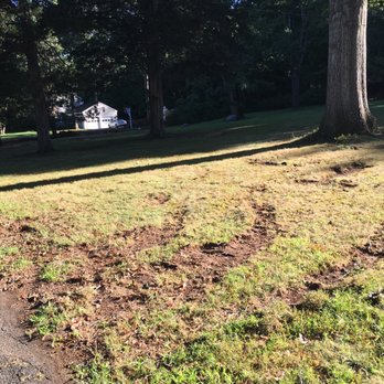 Harkness Tree Services - Tree Services Near Me - Bethany, Connecticut Harkness Tree Services - Tree Services Near Me - Bethany, Connecticut