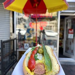 Chicago Dog