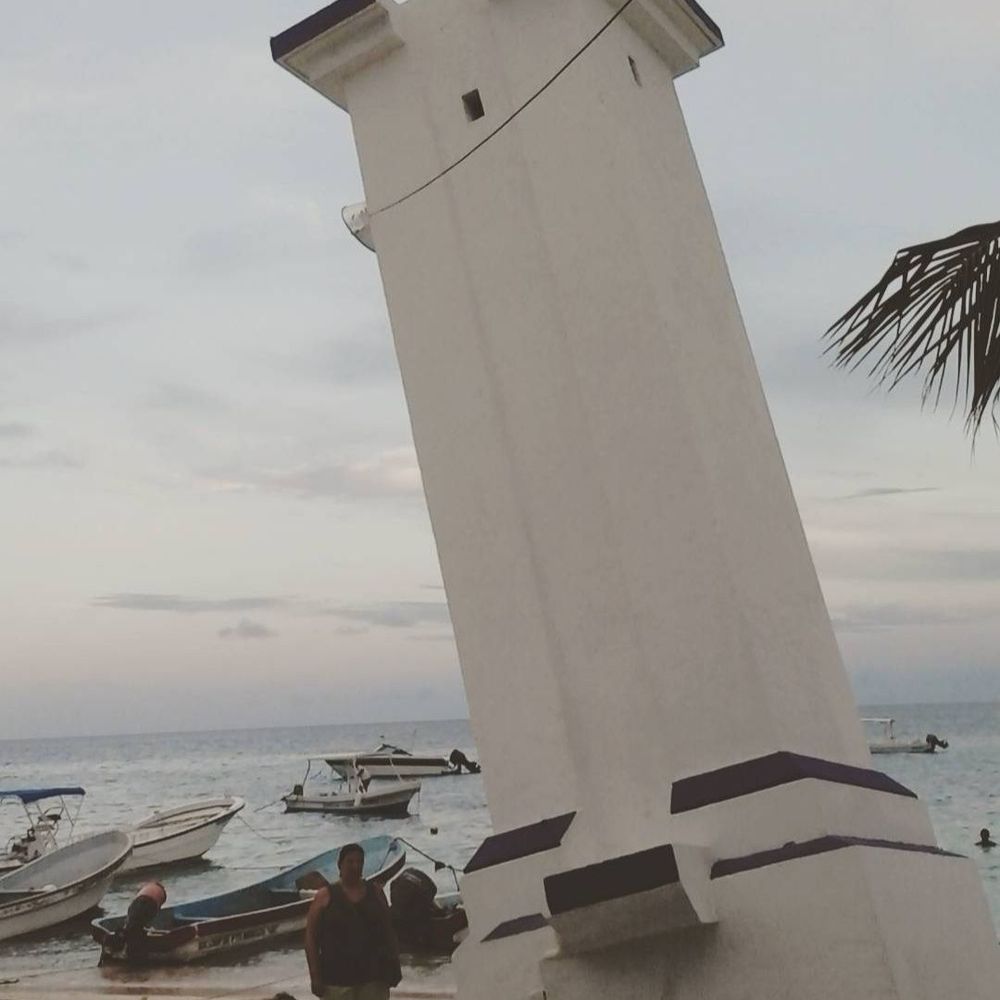Puerto Morelos - Uprooted by a hurricane - Beaches Near Me - Benito Juárez, ROO Puerto Morelos - Uprooted by a hurricane - Beaches Near Me - Benito Juárez, ROO