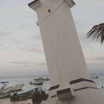 Puerto Morelos - Uprooted by a hurricane - Beaches Near Me - Benito Juárez, ROO