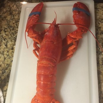 Platt's Seafood - One of our three beautiful lobsters - Seafood Markets Near Me - North Myrtle Beach, South Carolina Platt's Seafood - One of our three beautiful lobsters - Seafood Markets Near Me - North Myrtle Beach, South Carolina