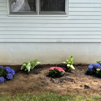 None Such Gardens - Hydrangea and hosta planting - Landscaping Near Me - Frankfort, Kentucky None Such Gardens - Hydrangea and hosta planting - Landscaping Near Me - Frankfort, Kentucky