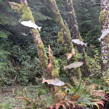 Willapa National Wildlife Refuge - Fish - Parks Near Me - Ilwaco, Washington