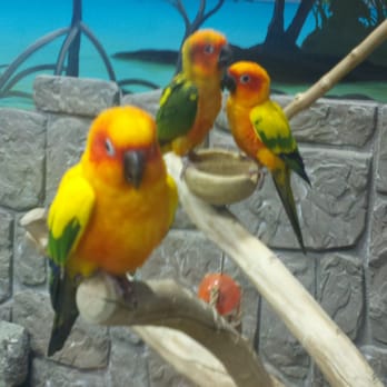 Long Island Aquarium - Aquariums Near Me - Riverhead, New York Long Island Aquarium - Aquariums Near Me - Riverhead, New York