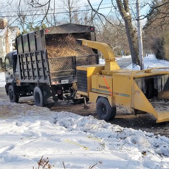 Alejandres Tree Service - dump truck with wood chipper - Tree Services Near Me - Round Lake Beach, Illinois Alejandres Tree Service - dump truck with wood chipper - Tree Services Near Me - Round Lake Beach, Illinois