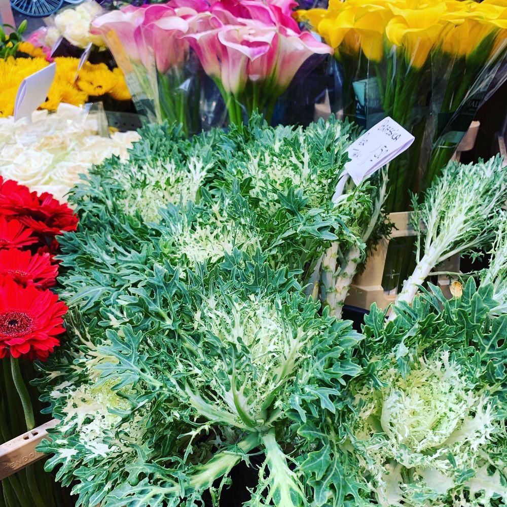 Bloemenmarkt - Florists Near Me - Amsterdam, New Hampshire